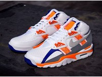air trainer sc high reverse auburn